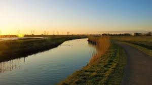Our highly qualified professionals have been beautifying residential and commercial landscapes in the tampa bay area for more than 20 years. Rapeseed Reed Sunrise Early Channel Landscape Nature Mill Heaven Netherlands Water Pikist