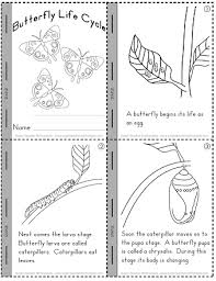 Printable science worksheet on life cycle butterfly 1. Life Cycle Of A Butterfly