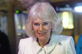 Meghan Eager's Instagram, Twitter & Facebook