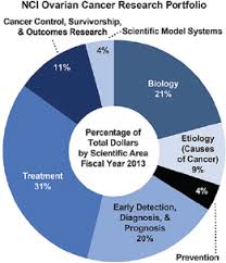 If your doctor is concerned that you have ovarian cancer, they'll likely recommend a pelvic exam. 1 Introduction And Background Ovarian Cancers Evolving Paradigms In Research And Care The National Academies Press