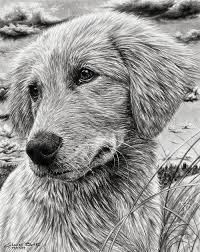 The thing about drawing with pencils is that we learned to draw using them in the first place and this is probably why the charm of pencil. Design Stack A Blog About Art Design And Architecture Hyper Realistic Pencil Drawings Of Dogs