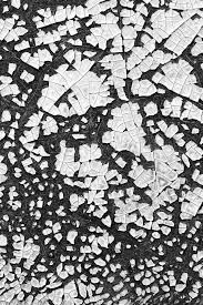 Black And White Abstract Photography Chipped Paint Industrial Abstract Black And White Photograph A0031710 Black And White Photographs Abstract Abstract Photographs