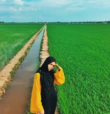 Tali air sawah padi lubuk ikan laga wild betta betta imbellis malaysia загрузил: Sekinchan Selangor Lokasi Photoshoot Di Dalam Sawah Padi Qaseh Dalia S Blog