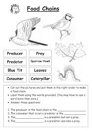Question Worksheet Category Page 2 Worksheeto Com Red Trofica Cadena De Comida Estudios Sociales