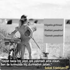 Hayat Bana Hic Yesil Isik Yakmadi Ama Olsun Ben De Kirmizida Hic Durmadim Zaten Sokakedebiyati Birsozepikse Ozlusozler Anla Komik Seyler Komik Edebiyat