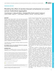 It is contrasted with piece wages, where each job, hour. Https Dmm Biologists Org Content 11 9 Dmm034199 Full Pdf With Ds Yes