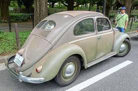 Image result for Medium Brown 1950 Beetle