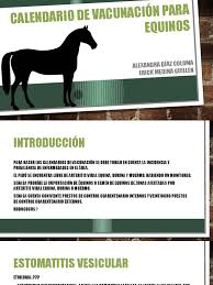 Guía de vacunación de equinos by osvaldo_catalán_3 in taxonomy_v4 > wellness. Calendario De Vacunacion Para Equinos Procariota Las Bacterias