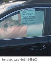 Dont Break The Window The Ac Is On He Has Water And Is Listening To His Favorite Music Httpstcolneh54lrbo Music Meme On Me Me