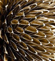 Harmony In Landscape Abstract Photography Abstract Photography Macro Photography Abstract Abstract Photographs