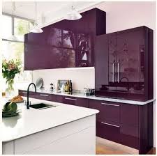 Most Popular Kitchen Cabinet Paint Color Ideas For Creative Juice Modern Kitchen Colours Kitchen Cabinets Color Combination Purple Kitchen Cabinets