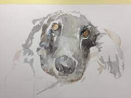 If any paint goes on too thick, dab the paint with a paper towel. How To Paint Your Dog In Watercolours Arttutor