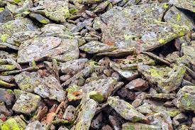 They can be found dotted around areas of the giant tree taiga biome. Moss Fungus On Stone Closeup Stone With Patterns Stone With Moss Stones Boulders Covered With Moss And Fungus Stock Photo Image Of Forest Design 172260356