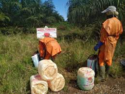Senarai ladang kelapa sawit utk dipajak dan dijual (1) investment 3, mon 18/jan/2021 2:58pm utk pajakan ladang sawit labu, n9 10,000 acres ages 7 14 years old rental. Bahasa Indonesia Kekeran Terhadap Perempuan Di Perkebunan Kelapa Sawit Wrm In English
