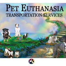 Veterinarians help with end of life pet euthanasia in the suburbs of austin. Paws In Paradise Pet Crematory Home Facebook