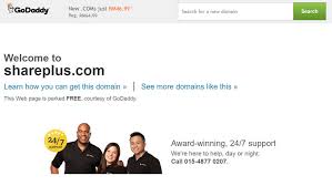 Domain Flipping Buy And Sell For Profit Whsr