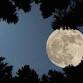 Supermoon Evening at Slide Ranch! - November 5th event in Muir Beach, CA