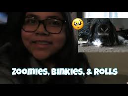 Maria Elizabeth Ugalde