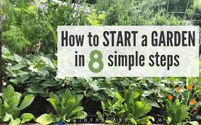 Believe it or not, soil provides your plants access to water, nutrients and air, explains. Gardening For Beginners How To Start A Garden In 8 Simple Steps Growing In The Garden