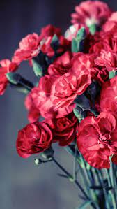 50 Beautiful Flower Wallpapers For Iphone Free Download Flower Iphone Wallpaper Iphone 7 Plus Wallpaper Red Flower Wallpaper