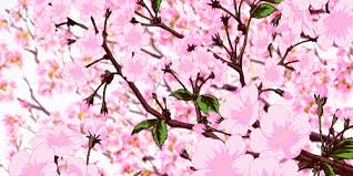 Https Encrypted Tbn0 Gstatic Com Images Q Tbn 3aand9gcqv0s6mtg7c Cxpl Yftg0mqgkyr0oe27lqjq Usqp Cau
