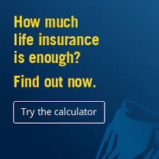 Invest, insure, retire and plan. Do You Have Enough Life Insurance Prudential Financial
