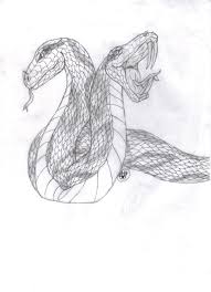 Download and print these printable dragon coloring pages for free. Double Dragon Coloring Page Coloring Pages For Kids