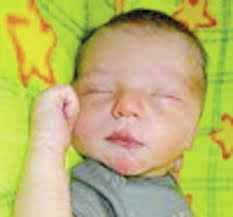 Steuben County births