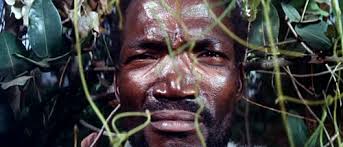 The Criterion Completist