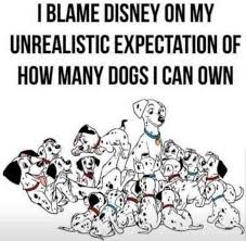 Sit Means Sit Dog Training Mahoning & Steel Valley