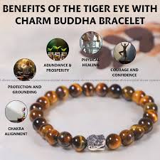 Buddha Stones Armband mit natürlichen Tigeraugen-Heilperlen
