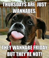 Good morning, happy thursday, be someone's sunshine today.. 75 Happy Thursday Quotes And Images