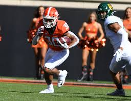 Image result for Hubbardochloa