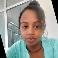 20+ "Jerusalem Solomon" profiles