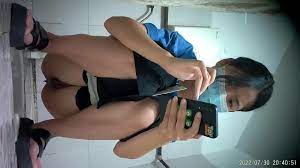 Chinese Ladies Toilet Voyeur - video 255 - ThisVid.com