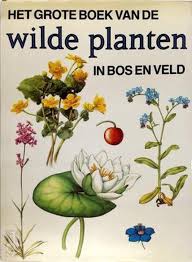 Bol Com Groot Boek Van Wilde Planten In Bos En Veld Piet Van Zalinge 9789025104603 Boeken