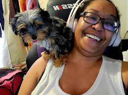 Look I don't have a yorkie. I have a parrot. Just call me Captain Jack. 🤣🤣