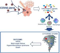 Animal cells are most likely to experience damage from. Frontiers Cytokine Storm In Covid 19 When You Come Out Of The Storm You Won T Be The Same Person Who Walked In Immunology