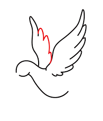 Continue the left line of the head down at an angle to make the back line. How To Draw A Peace Dove