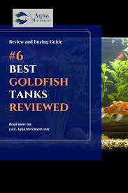 6 Best Goldfish Tanks Reviewed Aqua Movement In 2020 Goldfish Tank Goldfish Freshwater Aquarium Fish