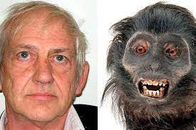 Man sentenced for selling monkey heads on the web and possessing animal porn  | Independent.ie