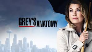 The show centers around meredith grey (ellen pompeo) and her life as a resident at the hospital. Grey S Anatomy News Blogs
