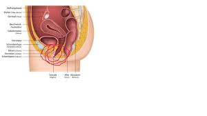 Bei der brachytherapie wird ein kleines, strahlungsaktives röhrchen in der scheide platziert. Vagina Sehr Eng Und Innen Nicht Glatt Sondern Fuhlt Sich So An Wie Auf Dem Bearbeiteten Foto Ist Das Normal Frauenarzt Gynakologie