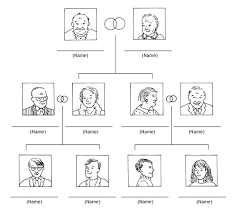 Stammbaum Teaching Accusative Case Worksheets