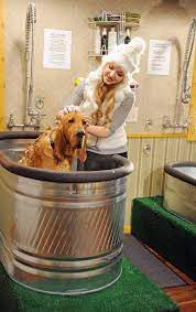 Pictures Photos From Cloud 9 Tv Movie 2014 Dove Cameron Cloud 9 Dove Cameron Style Dove Cameron