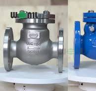 Van nước 1 chiều (Check Valve): Phân loại, Cách chọn chuẩn