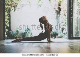 Image result for black cobra with sweet girl