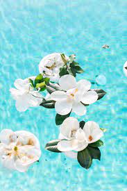 Magnolia Flowers Floating In The Pool At This Elegant Backyard Annapolis Wedding Annapolis Wedding Wedding Aspen Wedding