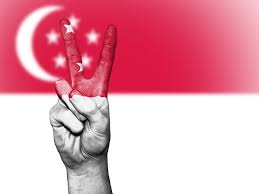 In this way, the theme rejects the notion that mitigation or adaptation are the only ways to address climate change. 14 Must Have Singapore Gifts To Bring That Wearesingapore Spirit Home This National Day 2018 Singaporemotherhood Com