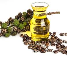 Image result for Castor Oil